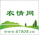 棉花卫士―吴孔明(20121226)